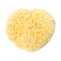 ESPONJA NATURAL BELLINI...